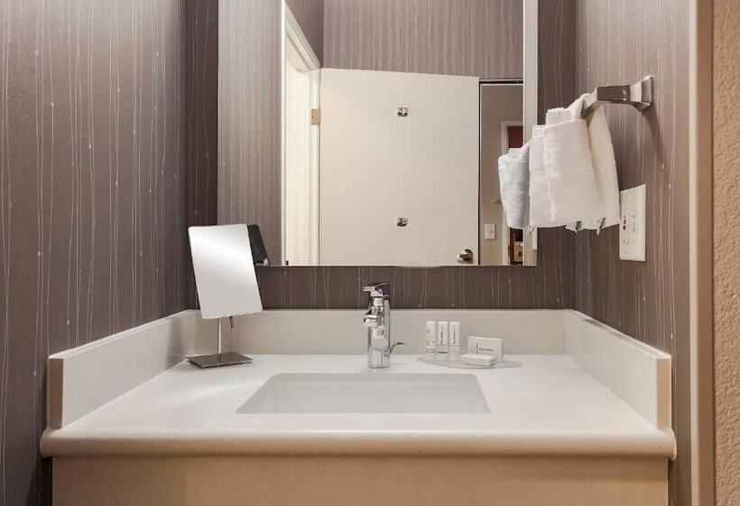 Fotos del hotel Radisson Hotel Houston Intercontinental Airport North:  12