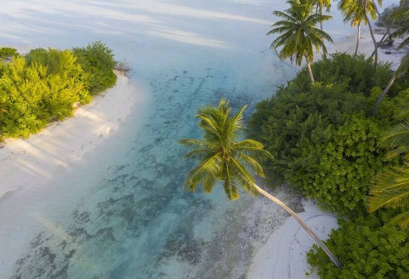 Fotos del hotel Rahaa Resort:  10