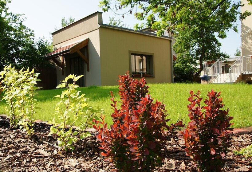 Fotos del hotel City Center House Elephant:  11