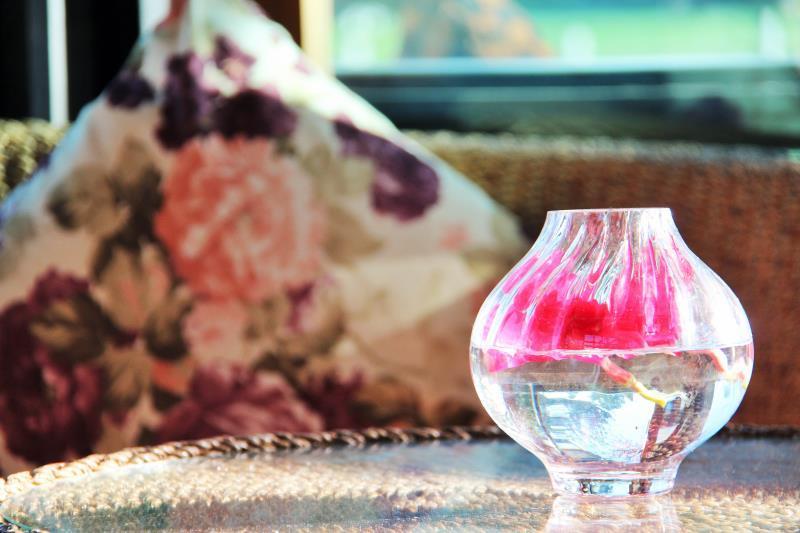 Fotos del hotel Family House Zen Boutique Resort:  3