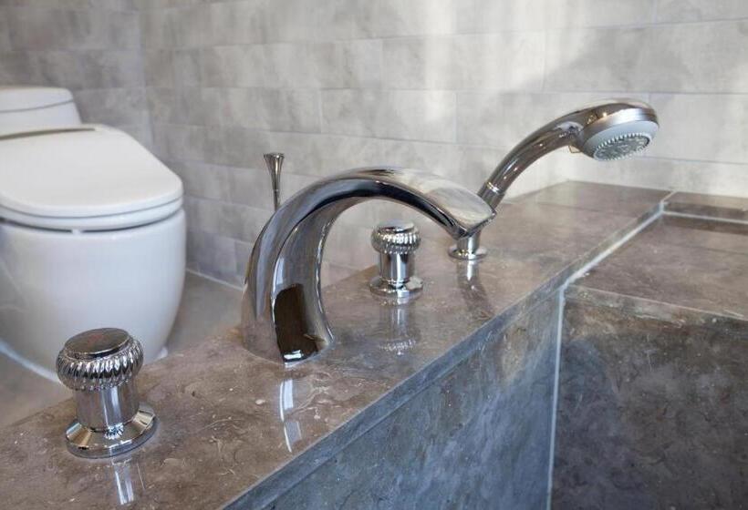 Fotos del hotel Lassa:  6