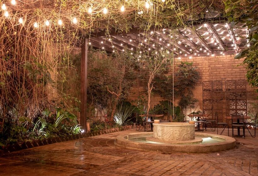 Fotos del hotel Sereno Art:  10