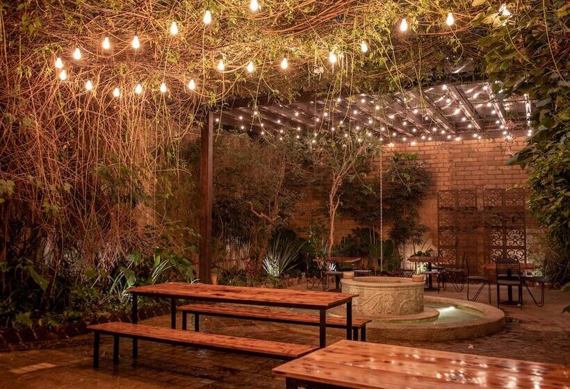 Fotos del hotel Sereno Art:  5