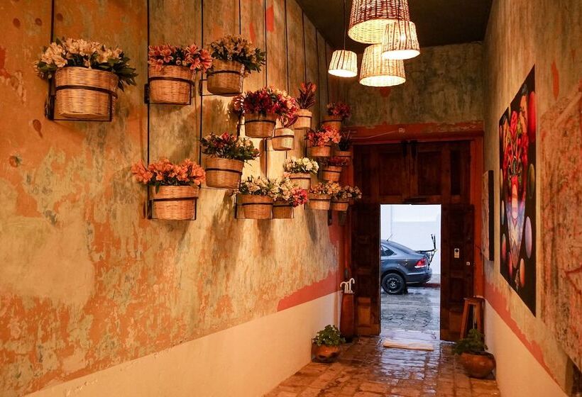 Fotos del hotel Sereno Art:  4