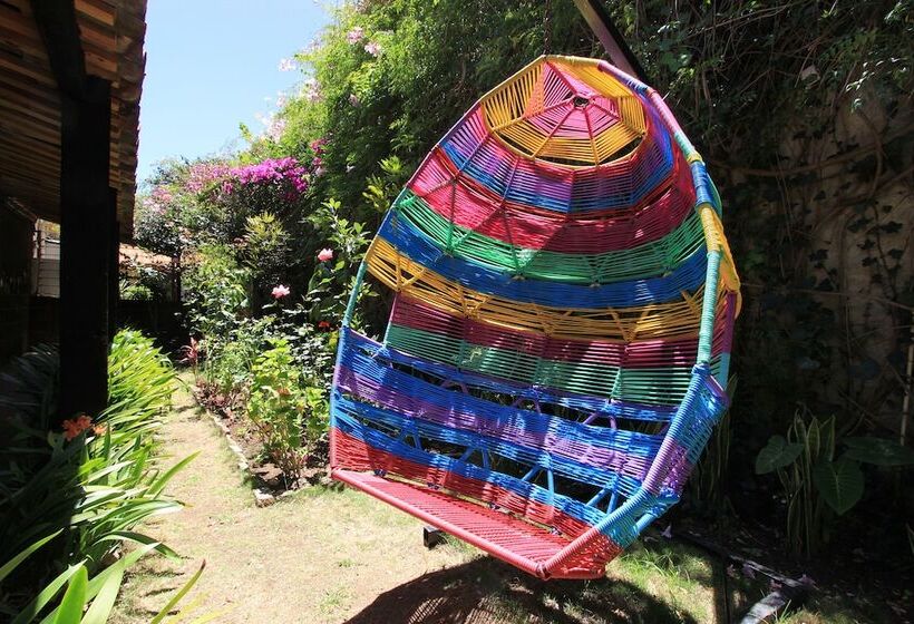 Fotos del hotel Sereno Art:  7