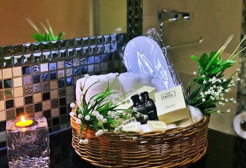 Fotos del hotel Orion Tbilisi:  24