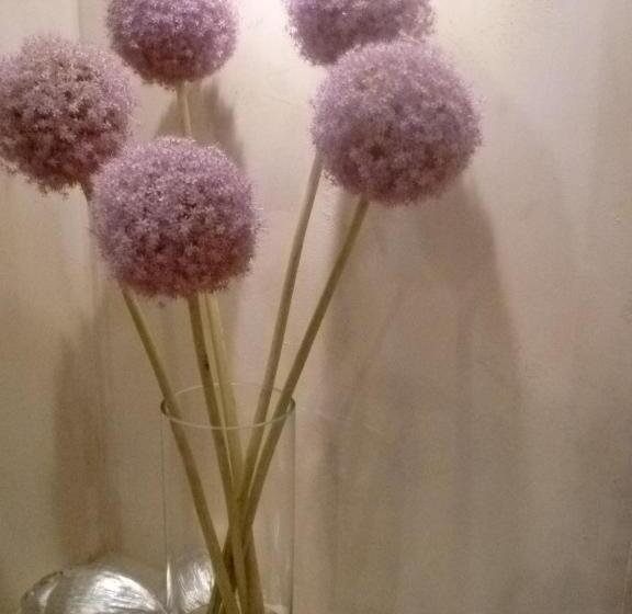 Fotos del hotel Rossetti:  11