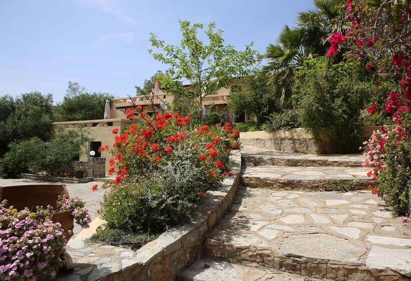 Fotos del hotel Villa Galini:  22