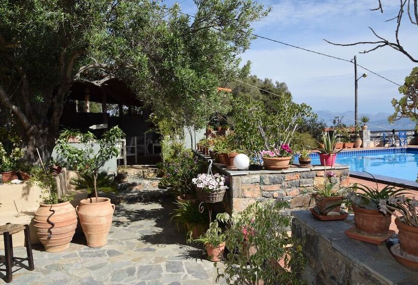 Fotos del hotel Villa Galini:  12