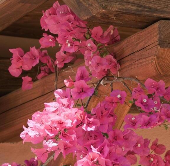 Fotos del hotel Villaggio Turchese:  5