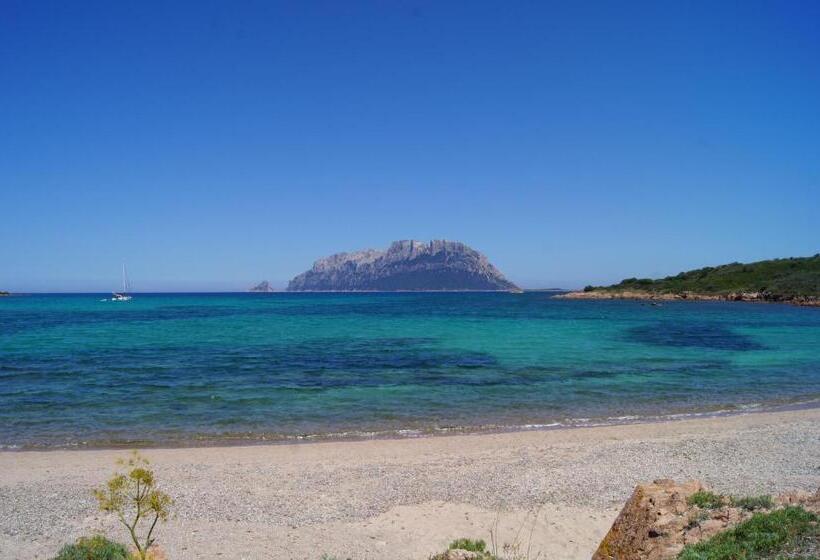 Fotos del hotel Villaggio Turchese:  6