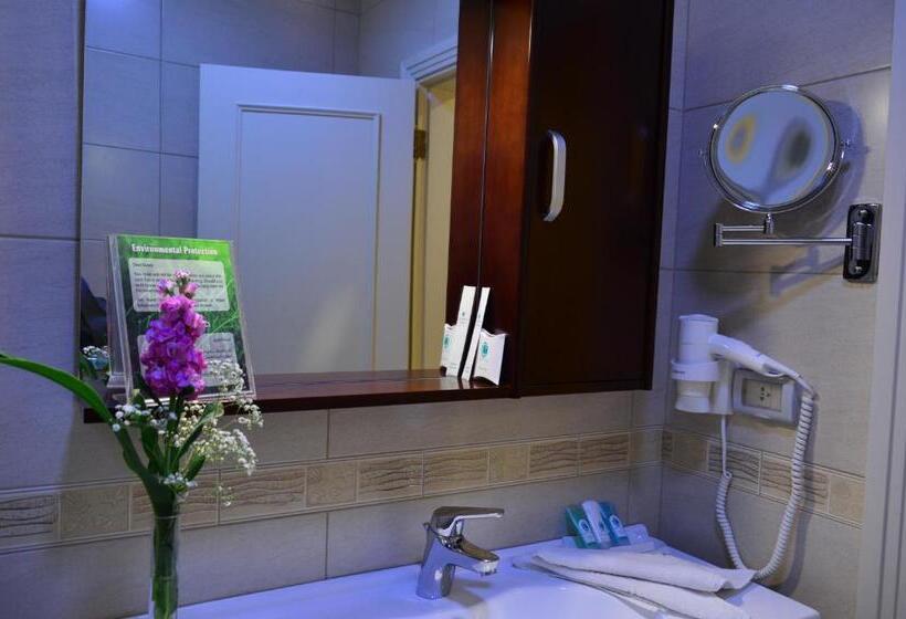 Fotos del hotel Comfort Hotel Suites:  11