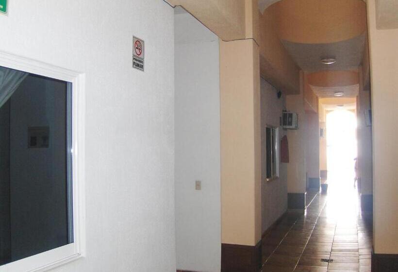 Fotos del hotel Albatros:  18