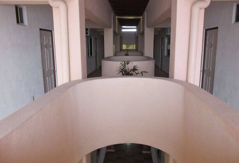 Fotos del hotel Albatros:  14