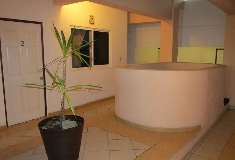 Fotos del hotel Albatros:  10