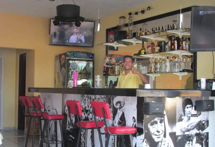 Fotos del hotel Albatros:  15