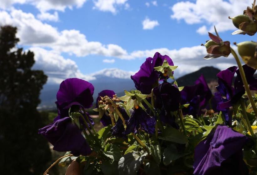 Fotos del hotel Casa Cuseni Maison De Charme:  23