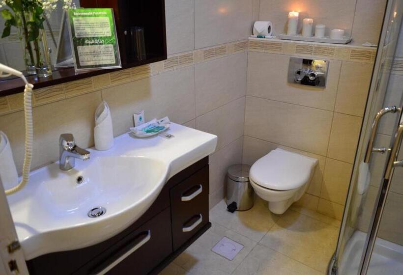 Fotos del hotel Comfort Hotel Suites:  4