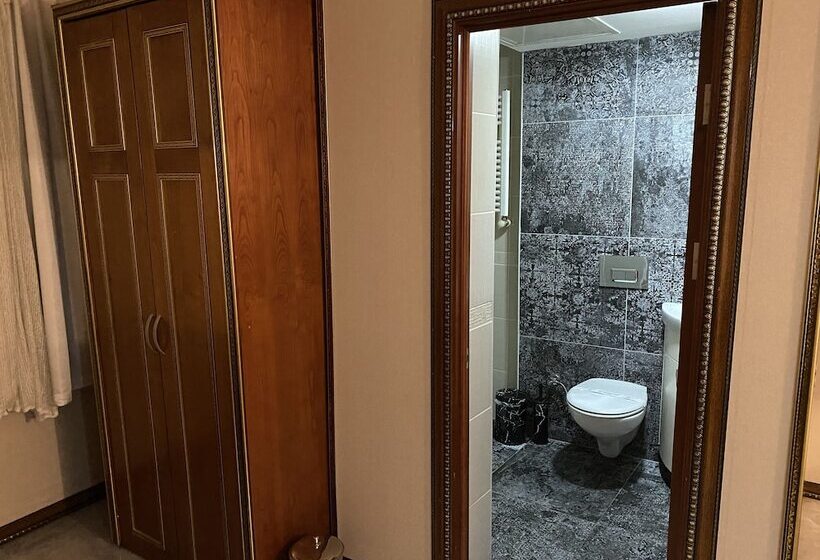 Fotos del hotel Grand Merin Airport:  20