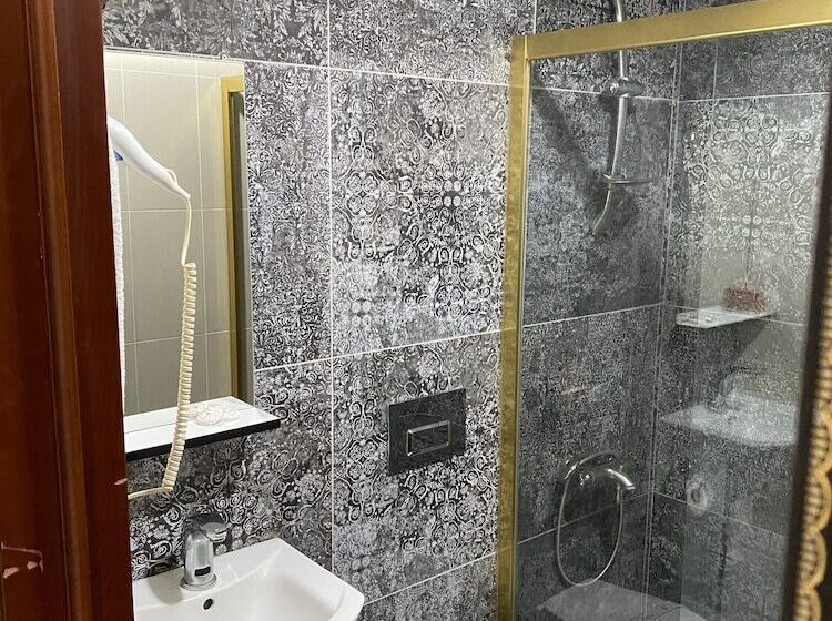 Fotos del hotel Grand Merin Airport:  22