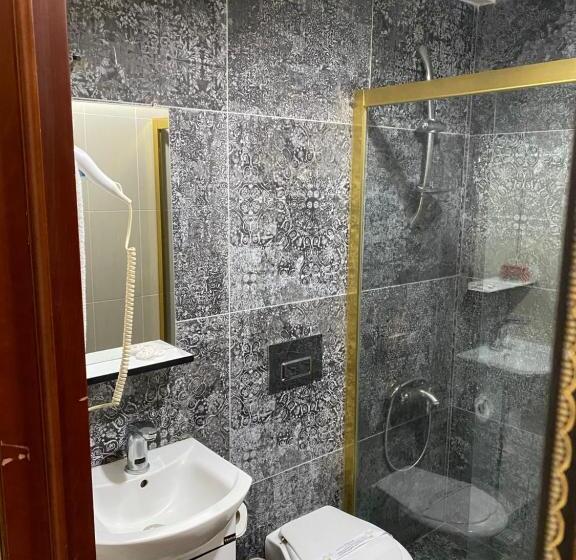 Fotos del hotel Grand Merin Airport:  24