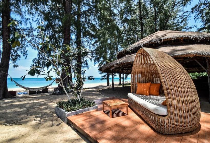 Fotos del hotel Long Beach Chalet:  14