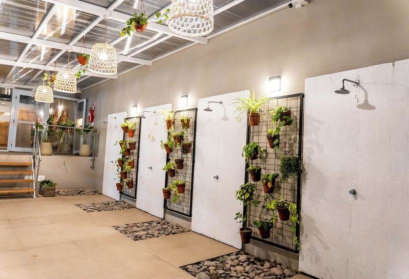 Fotos del hotel O2 Hoteles Mar Del Plata:  3