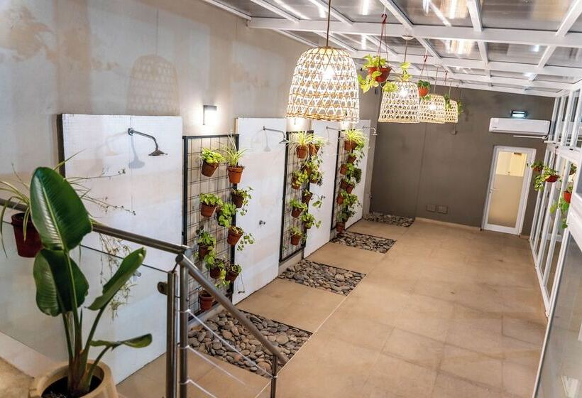 Fotos del hotel O2 Hoteles Mar Del Plata:  4