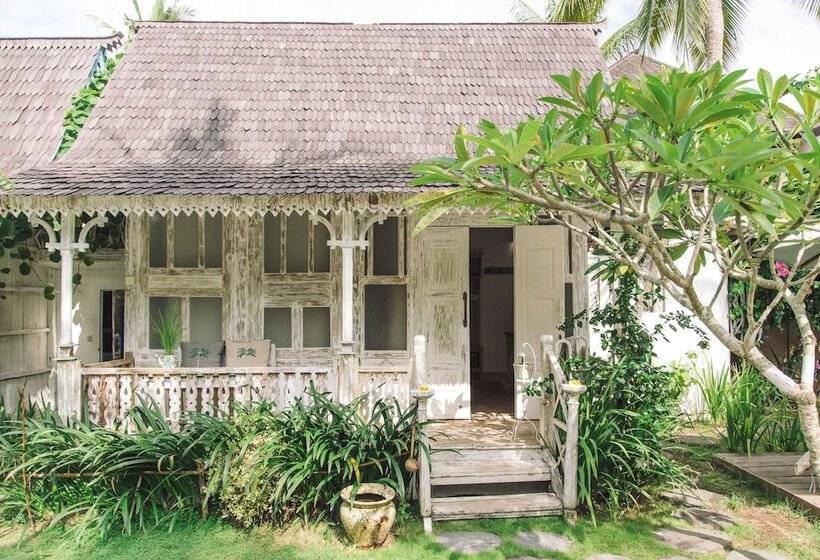 Fotos del hotel Palmeto Village:  5