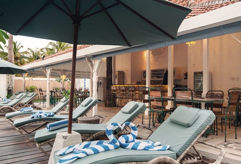 Fotos del hotel Palmeto Village:  3