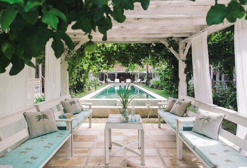 Fotos del hotel Palmeto Village:  4