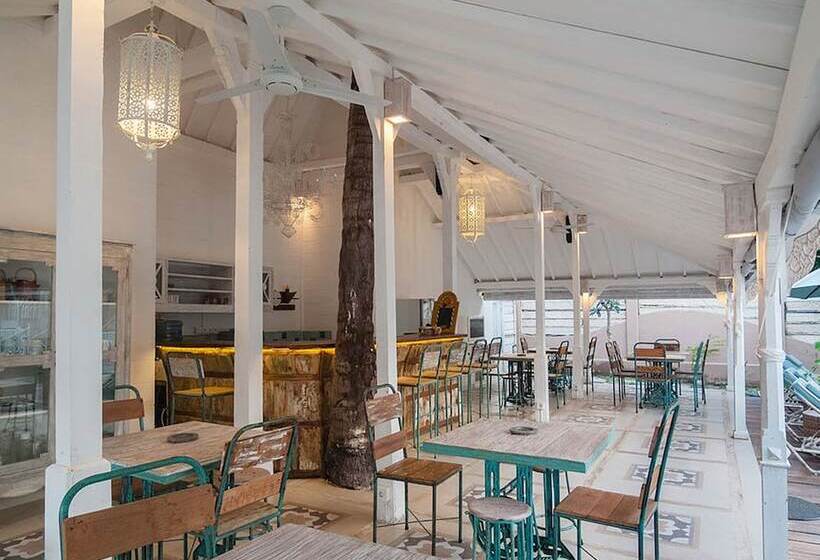 Fotos del hotel Palmeto Village:  11