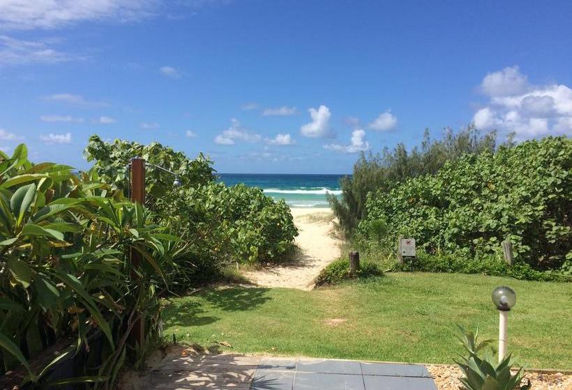 Fotos del hotel Bilinga Beach Motel:  9