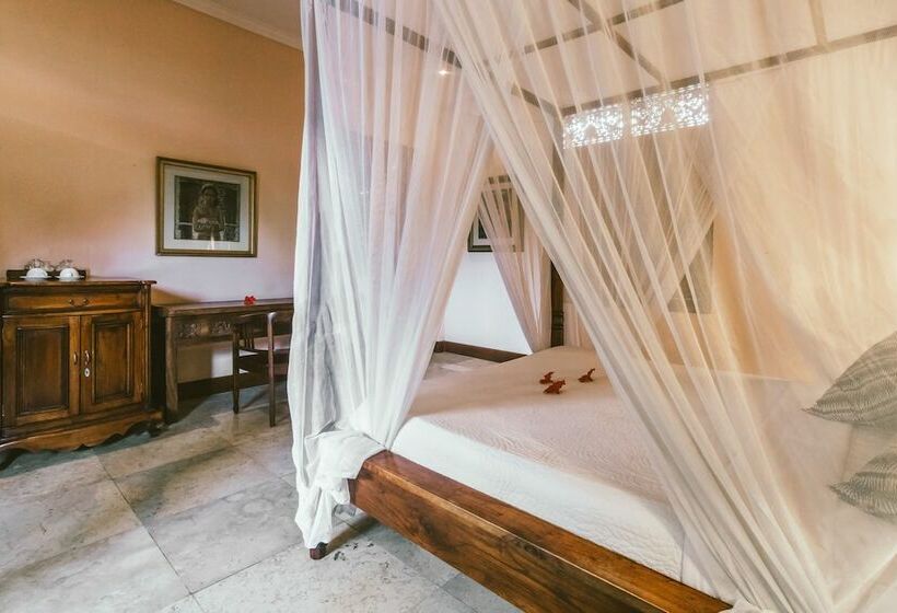 Fotos del hotel Honeymoon Guesthouse:  9