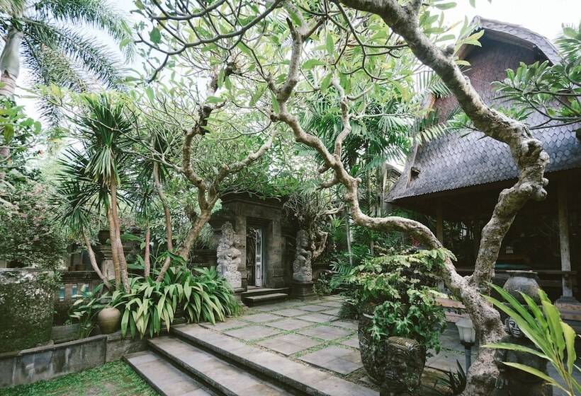 Fotos del hotel Honeymoon Guesthouse:  13