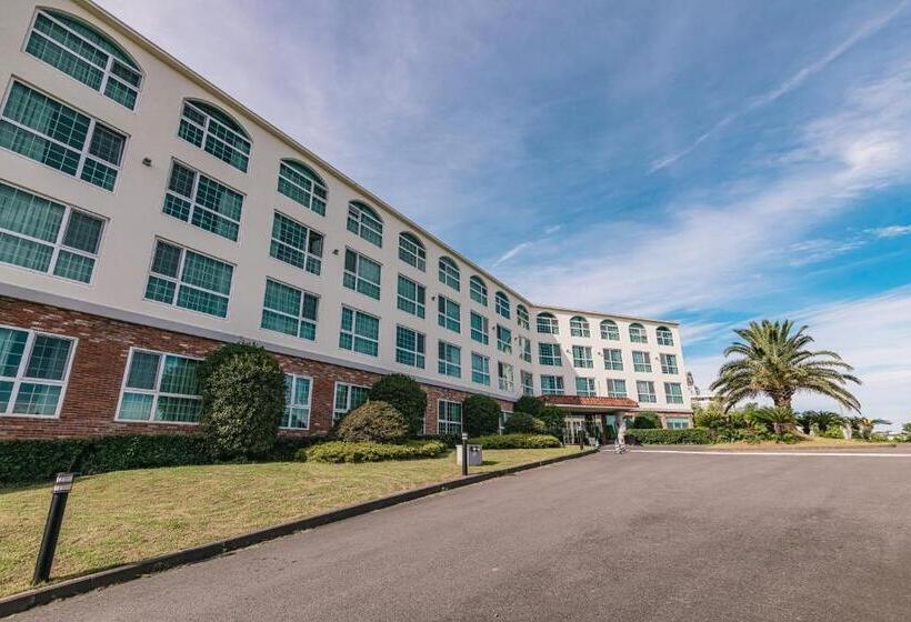 Fotos del hotel Aria:  13