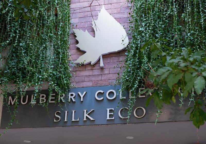 Fotos del hotel Mulberry Collection Silk Eco:  17