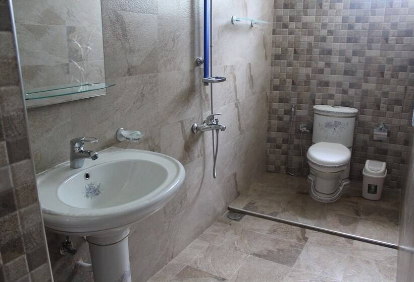 Fotos del hotel New Lion Palace:  13