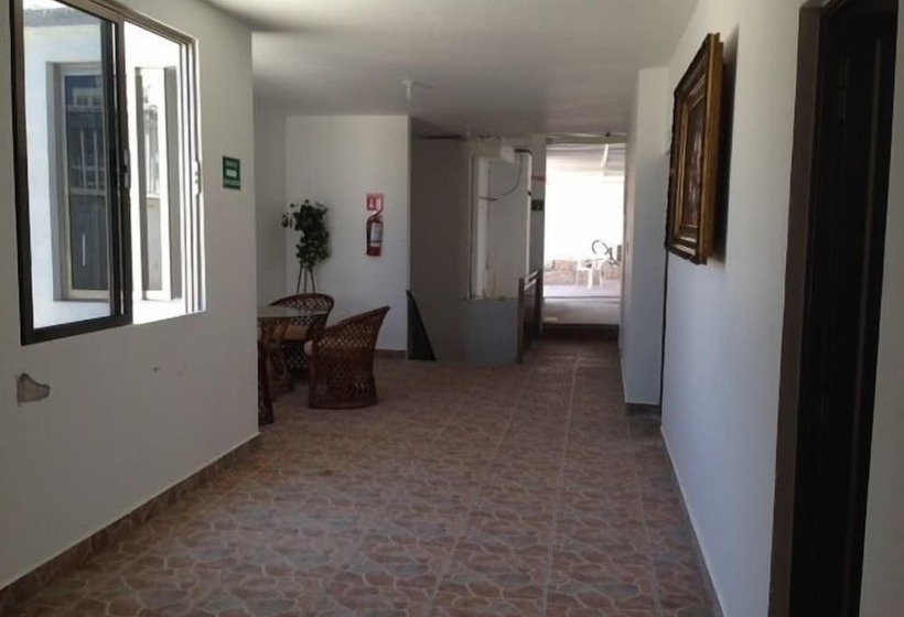 Fotos del hotel Banus:  13