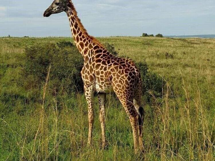 Fotos del hotel Ibis Styles - Nairobi, Westlands:  24