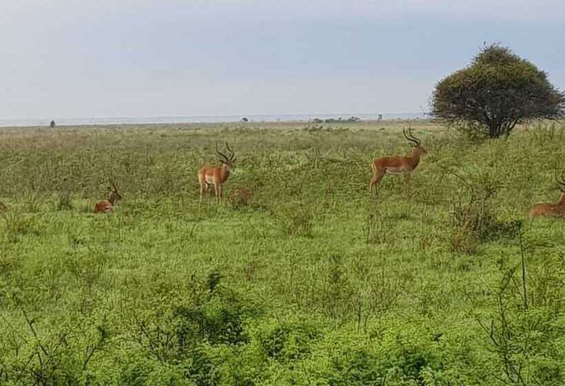 Fotos del hotel Ibis Styles - Nairobi, Westlands:  20