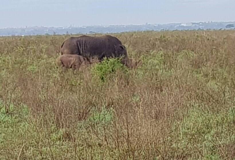 Fotos del hotel Ibis Styles - Nairobi, Westlands:  18