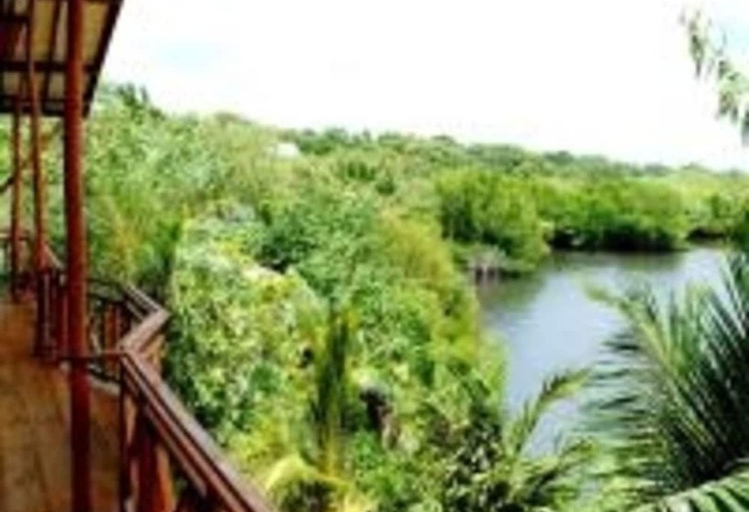 Fotos del hotel Asha Beach & Spa:  5