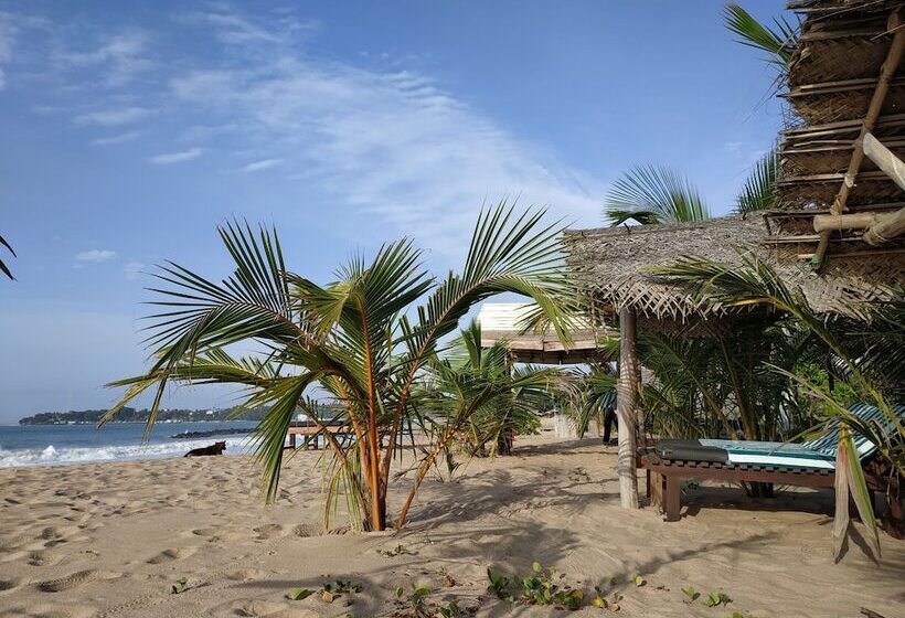 Fotos del hotel Asha Beach & Spa:  13