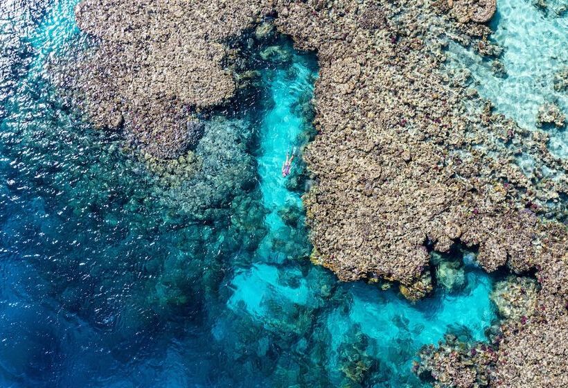 Fotos del hotel Marsa Nakari Village:  7