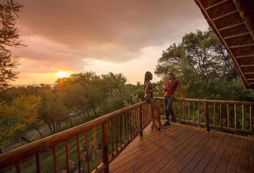 Fotos del hotel Amadwala Lodge:  16