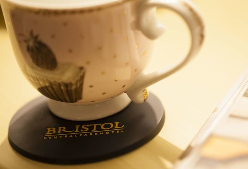 Fotos del hotel Bristol Central Park Hotel:  7