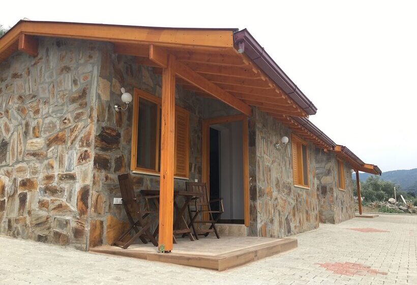 Fotos del hotel Natureland Efes Pension:  18