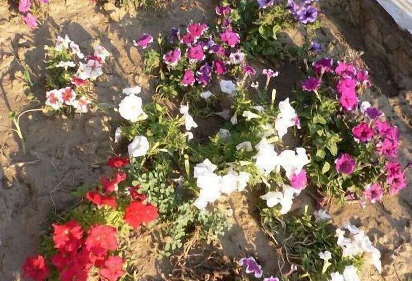 Fotos del hotel Natureland Efes Pension:  7