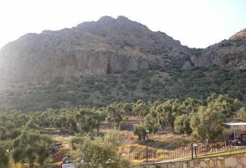 Fotos del hotel Natureland Efes Pension:  13